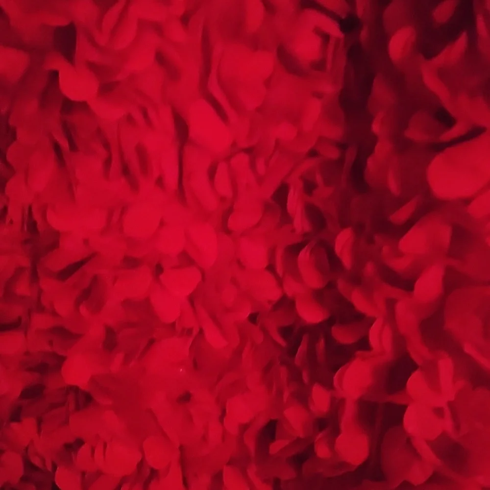 J.Crew Factory Red Flower Petal Textured Dress - Picture 2 of 4